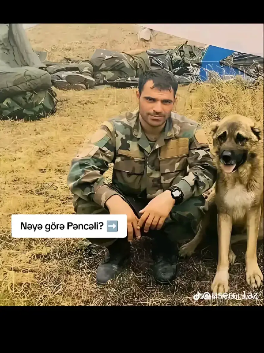 #allahbütünşəhidlərimizərəhməteləsin😔🥀💔 #pəncəliteymurov🥀 #Quluyew🇦🇿 #allahbütünşəhidlərimizərəhməteləsin😔🥀💔 #pəncəliteymurov🥀 
