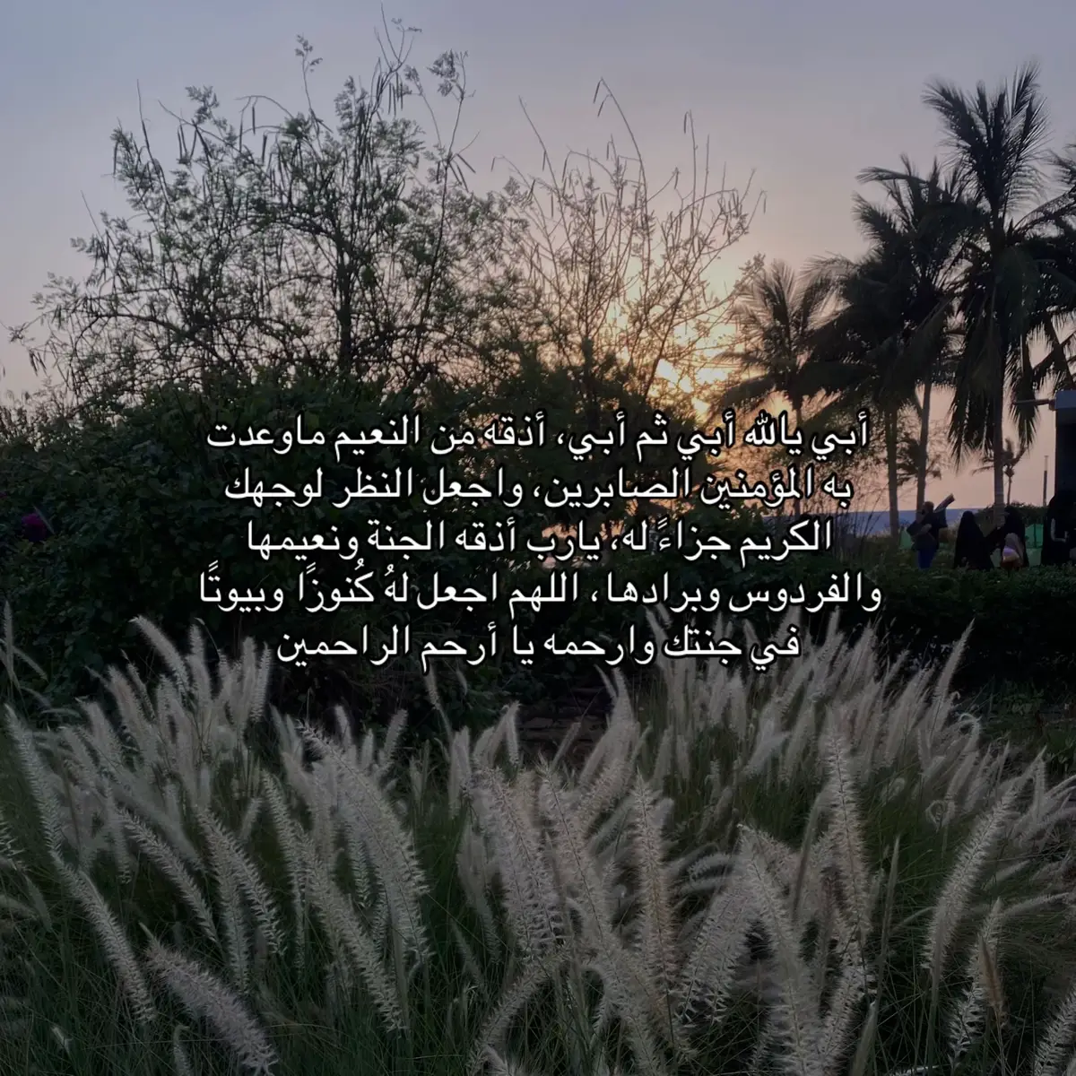 #دعواتكم_برحمه_لفقيدي #فقيدي_أبي #صدقة_جارية #اللهم_ارحم_ابي #foryou 