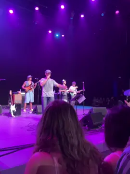 nathan fielder @ mac demarco #nathanforyou 