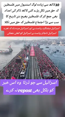 #istanbul#protest #palestine #2025 #help 
