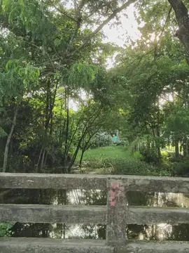 @TikTok Bangladesh #trending #foryou #tiktok #সাপট_my_ভিডিও_পাশে_থাকলে_পাশে_পাবেন_100 