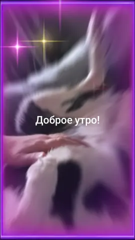 Нам хорошо вместе. Собака не просто верный друг, она любимый и важный член семьи. Моя жизнь без собаки была бы менее интересной!#собака -лучший друг#радость #семья#жизнь #счастье 