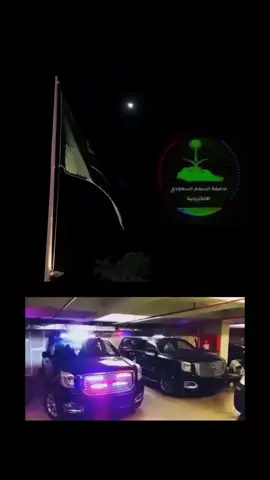 #عاصفة_السهم_السعودي #اكسبلور #السعوديه🇸🇦💚 
