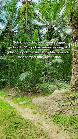 Sisean skek doang soal ndk man k mrarik😆🙏#korleko_lotim #fypp #lomboktimur #trending #tutorfyp 