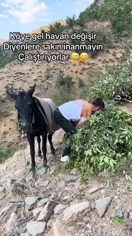 #keşfett#ben #köye geldim pişman oldum sakın siz gelmeyin 😅😅