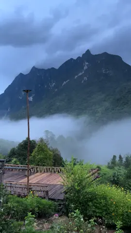 Chaingdao2025⛰️🍃✨ #เชียงดาว #ม่านหมอกเชียงดาวโฮมสเตย์ #ดอยหลวงเชียงดาว 