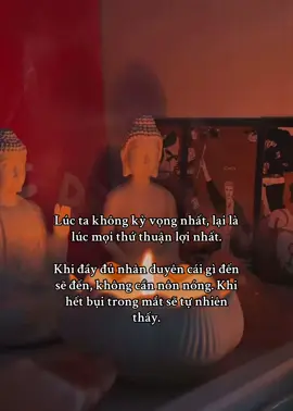 Lúc ta không kỳ vọng nhất, lại là lúc mọi thứ thuận lợi nhất. Khi đầy đủ nhân duyên cái gì đến sẽ đến, không cần nôn nóng. Khi hết bụi trong mắt sẽ tự nhiên thấy. #nammoadidaphat #phatphapvobien #xuhuong #viral #buddhism #daophat #loiphatday 