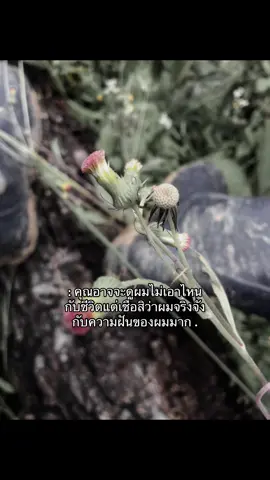 #รีโพสต์ทีค้าบบ❤️‍🔥 #ยืมลงสตอรี่ได้ #เปิดการมองเห็น #ฟิดดดシ 