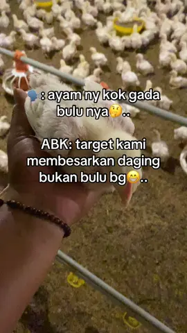 ABK pasti faham #ayambroilerhits #pppppppppppppppp #fyp 
