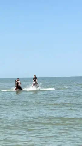 Водное родео заказывали? 😆 Когда до ноги дотронулась водоросль 😆 С нами все хорошо)  Подписываемся на мой тг канал  https://t.me/pilyuska #рекомендации #лошади #популярное #смешное #прикол 