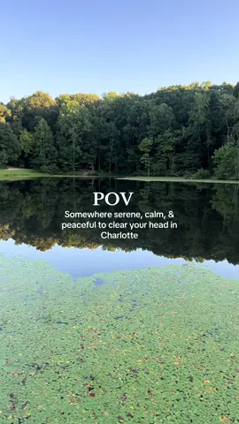 Beautiful, clean walking trails. This park is a great size to get a lot of walking in. It’s very peaceful here.  #reedycreekpark #charlottenc #thingstodoincharlotte #walkingtrails #parksincharlotte
