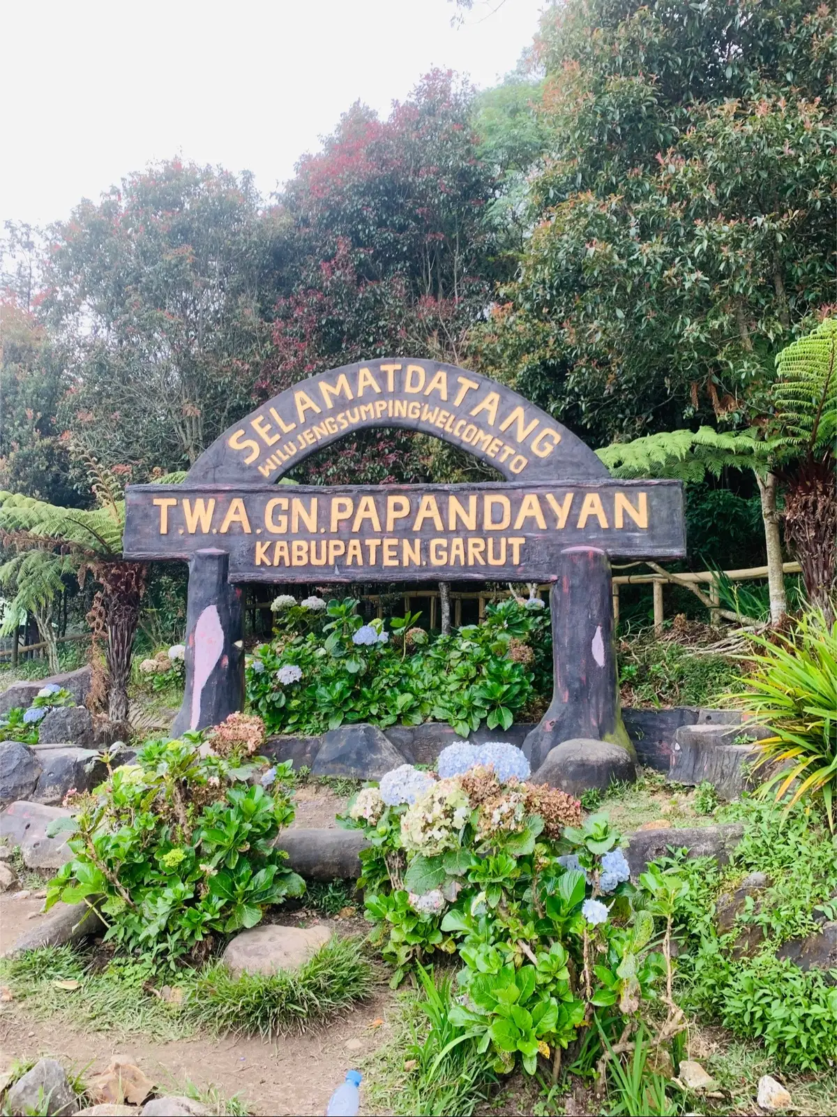 Papandayan “24-08-2025” done😊🍃✨#papandayanmountain #pendakicantik #pendakifomo #hutanmatipapandayangarut #fyppppppppppppppppppppppp 