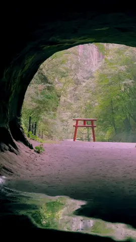 Mizonoguchi Doōketsu (Kagoshima) / 溝ノ口洞穴  Please follow 👉@japan_walker_    Please Share 🥰🙏✨ #japan #japantravel  #溝ノ口洞穴 #鹿児島 