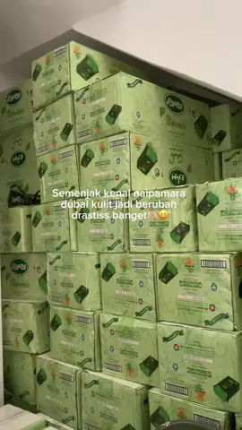 mau sungkem sm nalpamara dubai🥹❤️ #nalpamara #nalpamaradubai #sabunwhitening #sabunpemutih #sabunarab 