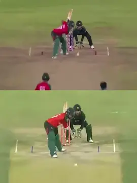 তানজিদ তামিম+পারভেজ ইমন : বাংলাদেশ ক্রিকেটের মানিকজোড়!