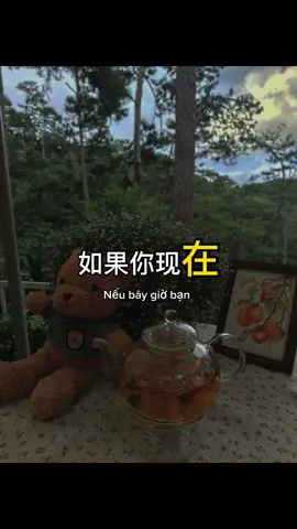 Một mình vẫn ổn #tiengtrung #hsk #podcast #tuhoctiengtrung #xuhuong 