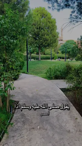 #VNVideoEditor #صلى_على_رسول_الله_صل_الله_عليه_وسلم 