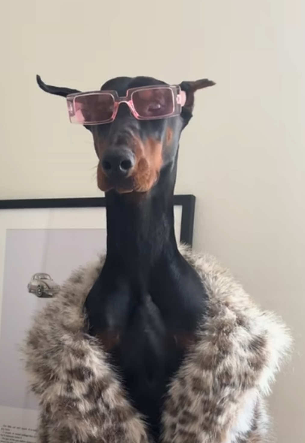 who dat diva