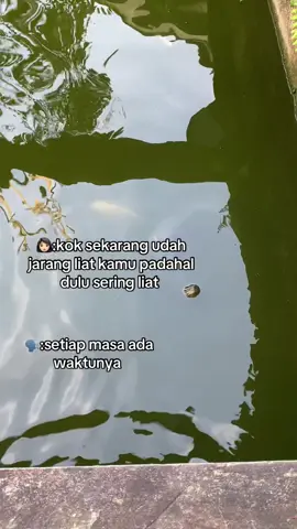 kadang timbul kadang tenggelam 😄