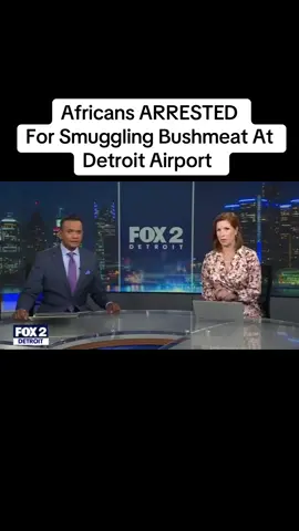 Africans from the countries of Gabon and Togo were arrested for smuggling 11 pds of rodent and 52 pds of primate bushmeat to Detroit. This bizarre wild food tradition comes with diseases like Ebola and Mpox. #Bushmeat is a cultural staple in #Africa usually consumed RAW. #USA #FBA #News