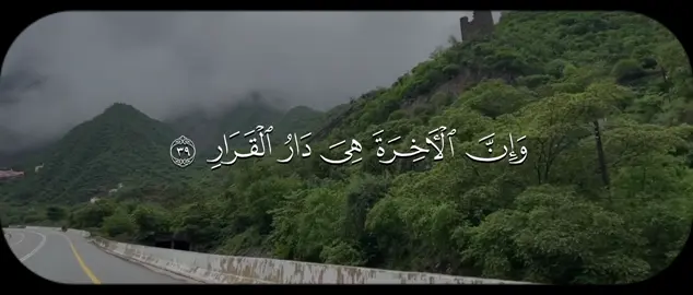 #ياسر_الدوسري #سورة_غافر #قران 