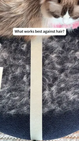 If you have pets and they shed at all,this will save you SO much!👌#pethairremoval #cathair #pethair #cathaireverywhere #petproducts 