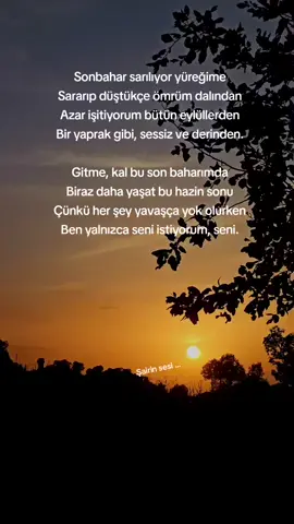 #sonbahar #eylül #viraltiktok #keşfett #keşfett #lostlove #poem #viraltiktok 