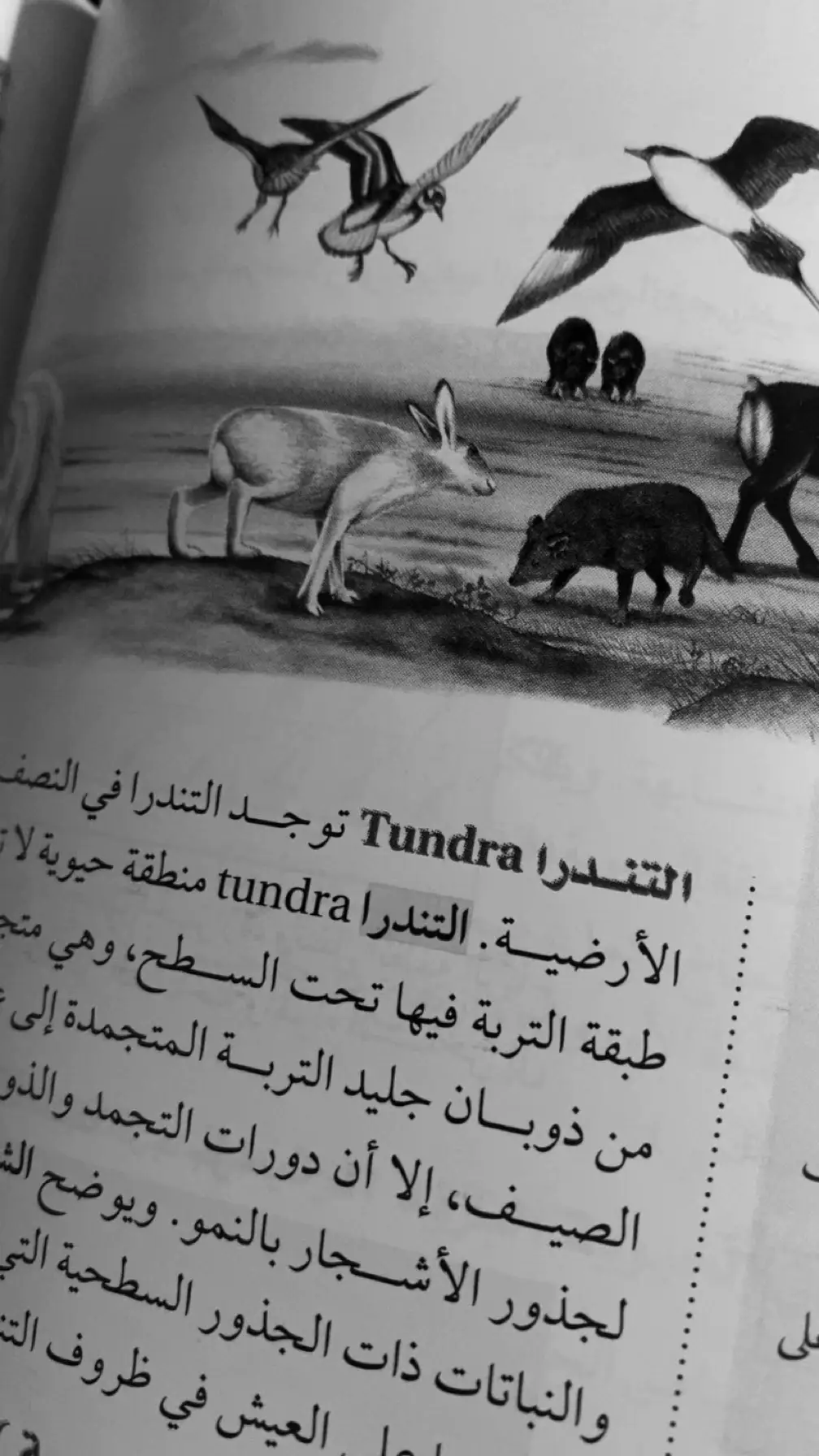 محد بيفهمها إلا حقين كود #foryou #كودموبايل #dance #تندرا سلاح العظماء☝🏻