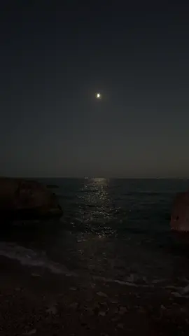 🌊