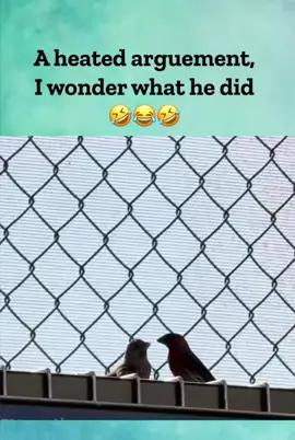 #fyp #foryou #FunnyVideo #DreamsTrader #foryoupage 