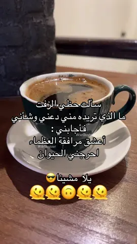 #wselhogut #trnd #اكسبلور 