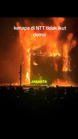 #nangaroro_flores_nagekeo #nttpride🏝🔥fypシviral #