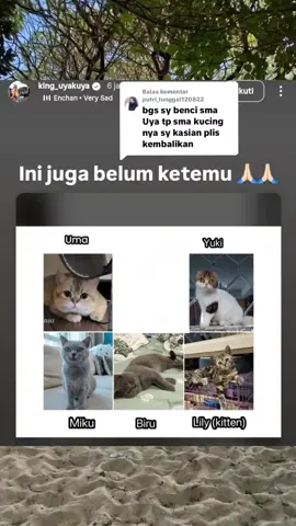 Membalas @putri_tunggal120822 semoga kucingnya mas uya kuya segera balik ya 🙏🏻🙏🏻 #kinguyakuya #dprri #demo 