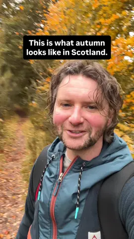 Autumn has arrived in Scotland 🏴󠁧󠁢󠁳󠁣󠁴󠁿 🍁 #Scotland #fall #scottishtiktok #scotlandtravel #scotlandforever 
