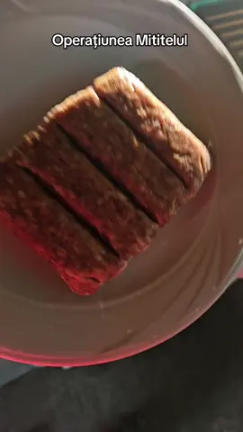 Mici în grădină 