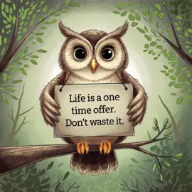Life is one time offer don’t waste it #motivation #motivacional #inspiration #fyp #1milionviews 
