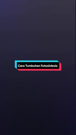 Fotosintesis adalah suatu proses biokimia pembentukan karbohidrat dari bahan anorganik yang dilakukan oleh tumbuhan, terutama tumbuhan yang mengandung zat hijau daun, yaitu klorofil. Selain yang mengandung zat hijau daun, ada juga makhluk hidup yang berfotosintesis yaitu alga, dan beberapa jenis bakteri dengan menggunakan zat hara, karbon dioksida, dan air serta dibutuhkan bantuan energi cahaya matahari. Hampir semua makhluk hidup bergantung pada energi yang dihasilkan dalam proses fotosintesis. Akibatnya fotosintesis menjadi sangat penting bagi kehidupan di bumi. Fotosintesis juga berjasa menghasilkan sebagian besar oksigen yang terdapat di atmosfer bumi. Organisme yang menghasilkan energi melalui fotosintesis (photos berarti cahaya) disebut sebagai fototrof. Fotosintesis merupakan salah satu cara asimilasi karbon karena dalam fotosintesis karbon bebas dari CO2 diikat (difiksasi) menjadi gula sebagai molekul penyimpan energi. Cara lain yang ditempuh organisme untuk mengasimilasi karbon adalah melalui kemosintesis, yang dilakukan oleh sejumlah bakteri belerang. #fyp #history #sejarah #fotosintesis #animasi 