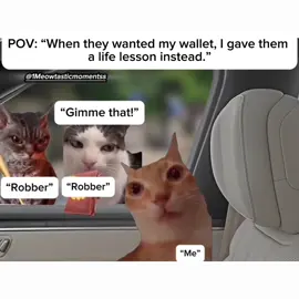wrong person 😭 . . . . . . . . . . . . . . . #catstagram #meow #cats #viral #catlife #catlovers #Love #cutecats #video #reels #reelsinstagram #reelsvideo #reel #instagram #instalike #insta #viralvideos #viralreels #meme #memes #followme #follow #fyp:› #drama #catmemes #daily #dailymemes #dailycat #instamood #relatable #funny #tiktok #funnytiktok #funnyvideos #funnymoments #funnyanimals #funnycat #animals #tiktokviral #viral #cat #catlover #drunk #truelifestory