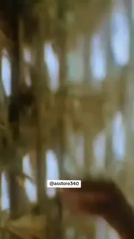 #jaduhainashahai #jism #bipashabasu #johnabraham #bollywoodsong 