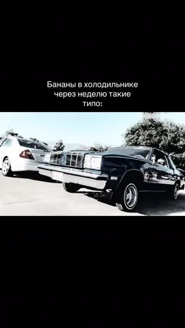 У кого так же ? #sxnrise #music #memphis #boombap #meme 