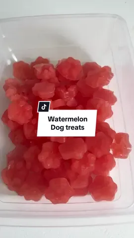 Making watermelon dog treats #dogsoftiktok #dogtreats #homemadedogtreats #healthydogtreats #Recipe 