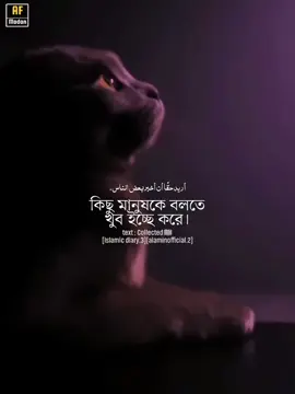 কিছু মানুষকে বলতে খুব ইচ্ছে করে।আপনাদের দেওয়া কষ্ট আমার রুহ অব্দি গেছে🖋💔!! #islamic_diary3 #alaminofficial2 #AF_modon #allah 