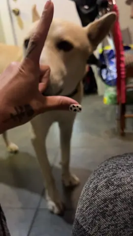 Can you just be serious, dawg?
