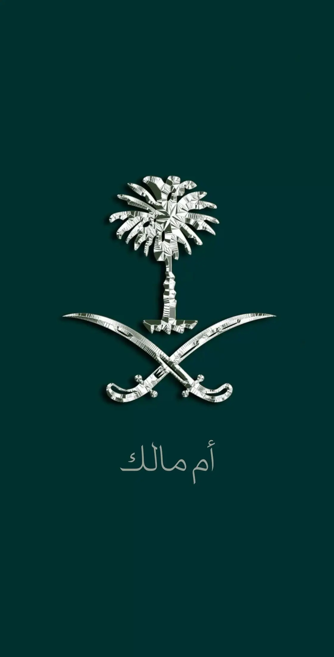 #السعوديه🇸🇦💚 #يوم_الوطني_95🦅🇸🇦 #طلعوهه_آكسبلور #السعودي #السعودية