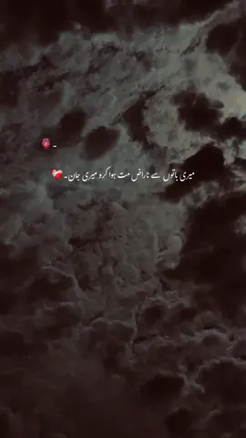پورا حق سمجھ کے جتاتے ہیں🫀#mrrehman #viral #video #status #aesthetic 