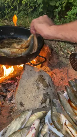زەمەنێک تئ کەوتووین ئاسودەی دەروون تەنیا بە خۆ دوور گرتن لە خەلکی بەدی دیێت #راحة_نفسية aram chamaky  