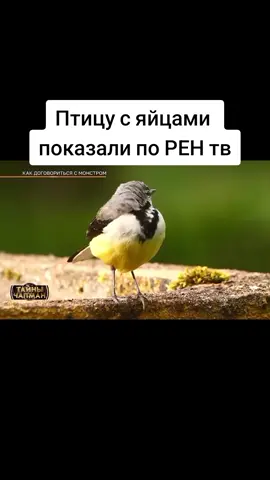 Окак