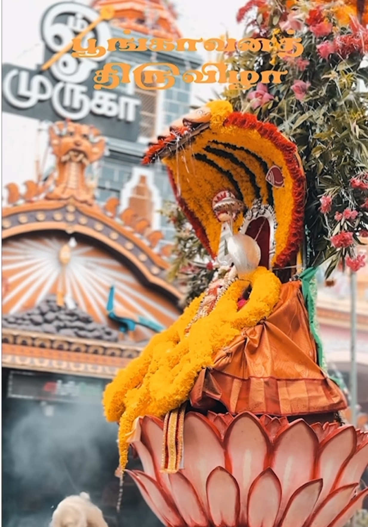 பூங்காவனத்தி௫விழா🙏#சந்நிதியான்_துணை🙏 #ஆற்றங்கரை_வேலவன் #வடிவேலவா #MURUGAA #🙏🙏🙏🙏 