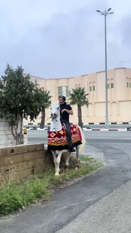 جديد الشيخ🤙🏼🔥. #بللحمر #البهشه_غلابه_السبع_المحالف #بللسمر #خيل_وخياله🐎 #اكسبلورexplore #الشعب_الصيني_ماله_حل😂😂 
