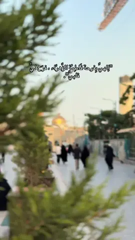 #القطيف_الشععب_اللطيف #كسبلور_explor #‏وعليُّ أمسكَ بالسرورِ يمينَها : ‏بُشراكِ يا فاطمة ❤️❤️. ‏ ⁧‫#فرحة_الزهراء‬⁩